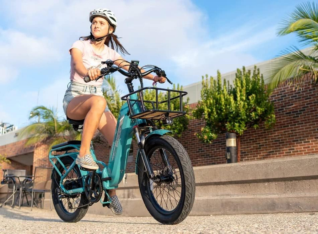 Bike Bobcat E-Bike Foldable 7-Speed 500W 48V Electric Bicycle with Removable Battery