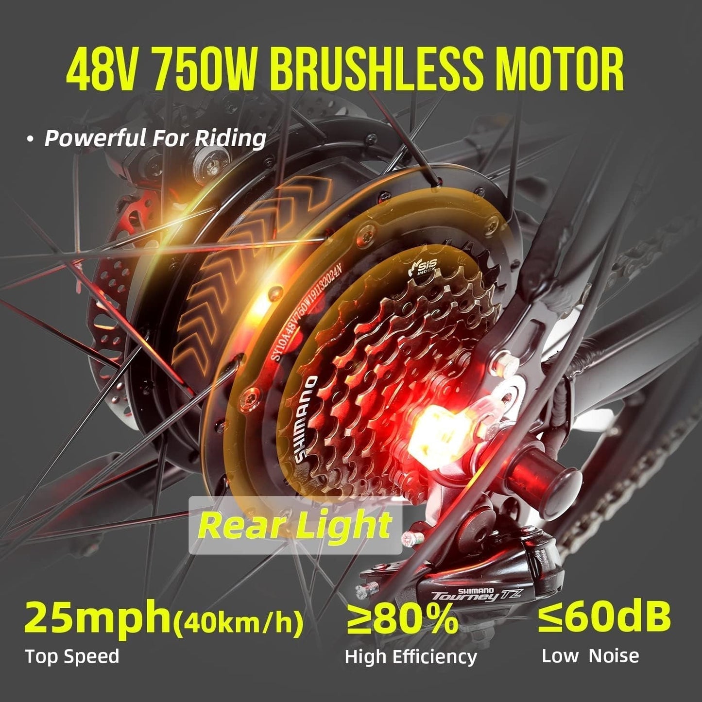 Electric Bike for Adult 750W Electric Mountain Bike 48V 13AH Removable Battery Ebike with Suspension Fork Aluminium Frame, Professional 21-Speed Gears