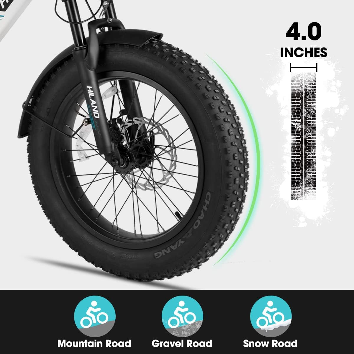 Adults Electric Bike Cargo, 750W 48V Brushless Motor E Bikes, 20 Inches 4.0 Fat Tire Aluminum Alloy Frame Suspension Fork Electric Bicycle with Racks
