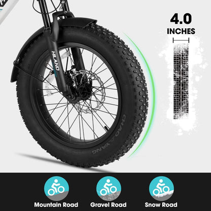 Adults Electric Bike Cargo, 750W 48V Brushless Motor E Bikes, 20 Inches 4.0 Fat Tire Aluminum Alloy Frame Suspension Fork Electric Bicycle with Racks
