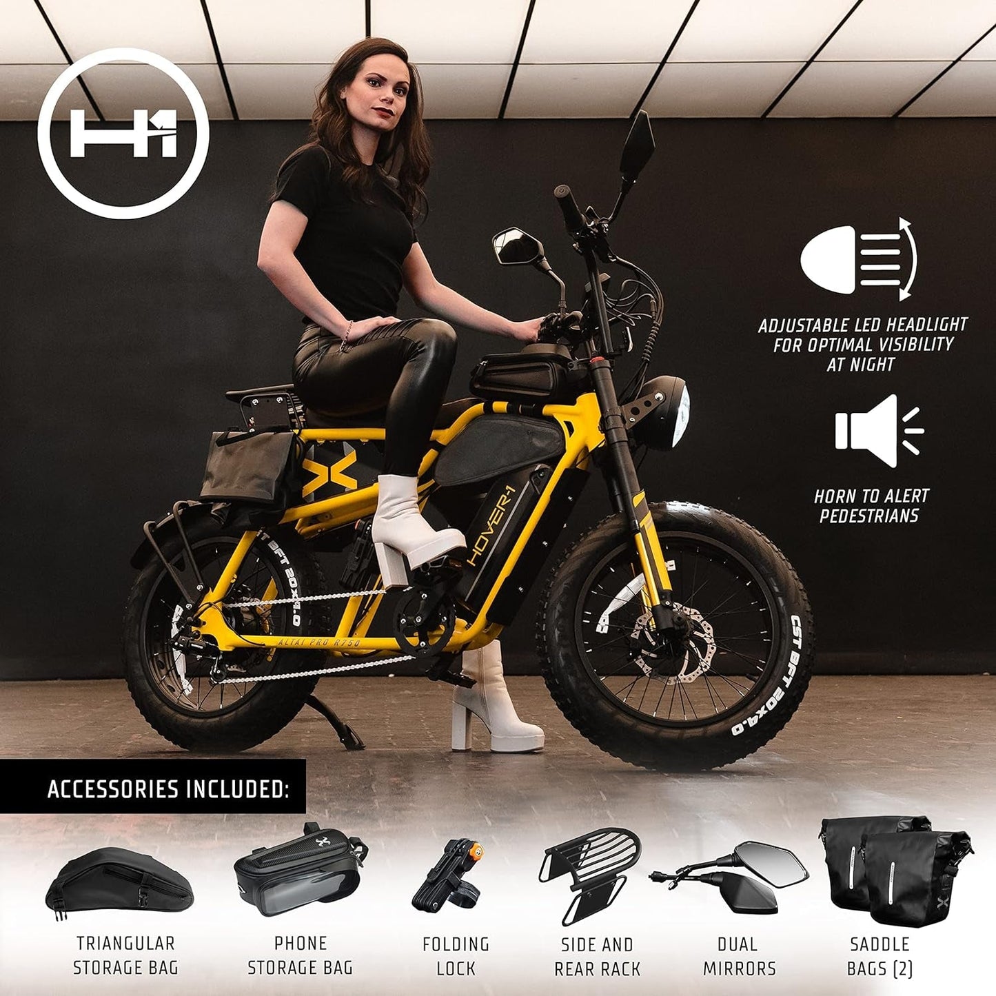 Pro Series Altai R500/R750 Electric Bicycle with 28 Mph Max Speed, 500W Motor/750W