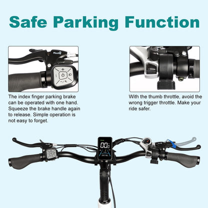 Three Wheel E-Bike for Adults 100+ Miles Long Range 750W 48V 31.5Ah Removable Dual Battery 3 Wheel Electric Bicycle with Large Basket for Seniors 20"