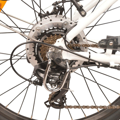 DJ Mountain Bike 750W 48V 13Ah Power Electric Bicycle, Matte Black, LED Bike Light, Fork Suspension and Shimano Gear