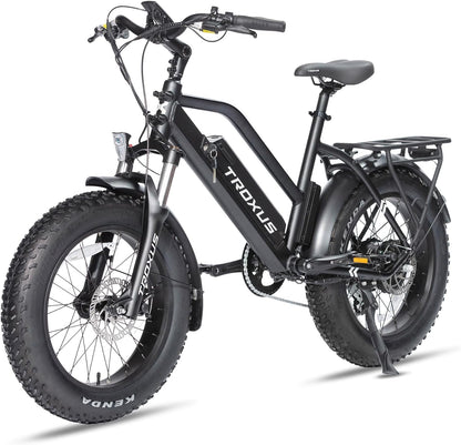 Electric Bike for Adults, Fat Tire Mountain E-Bike with 750W Powerful Rear Hub Motor and Disc Brakes, Extra Long Range E-Bicycle