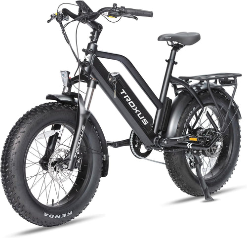 Electric Bike for Adults, Fat Tire Mountain E-Bike with 750W Powerful Rear Hub Motor and Disc Brakes, Extra Long Range E-Bicycle