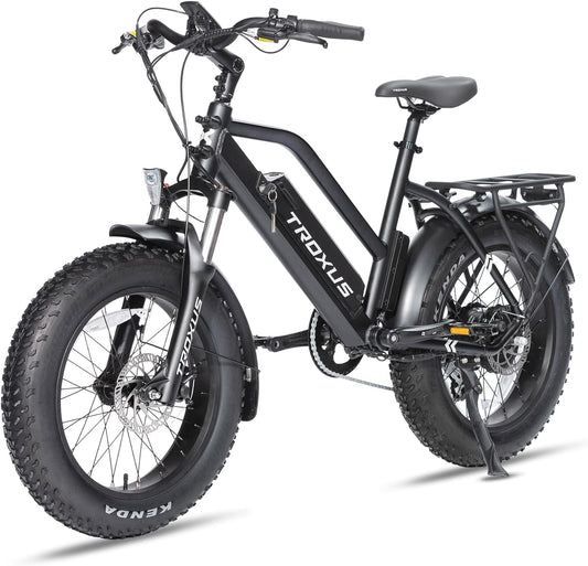 Electric Bike for Adults, Fat Tire Mountain E-Bike with 750W Powerful Rear Hub Motor and Disc Brakes, Extra Long Range E-Bicycle
