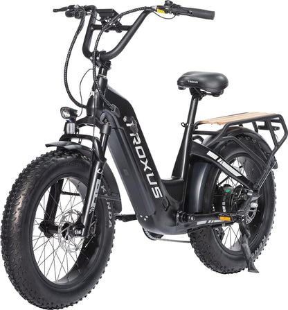 20'' Fat Tire Electric Bike for Adult,750W Motor 48V 20Ah Lithium Battery Step-Thru Electric Bicycle for Beach Snow 7 Speeds