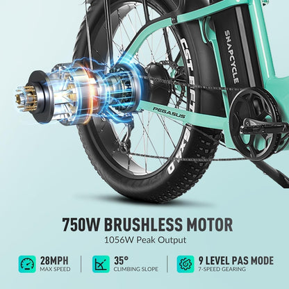 Electric Bike for Adults,1000W Peak Motor 28MPH with 26" X 4.0 Fat Tire Step-Thru Ebike,48V 15AH Removable Battery, Hydraulic Brake, Shock Absorber,