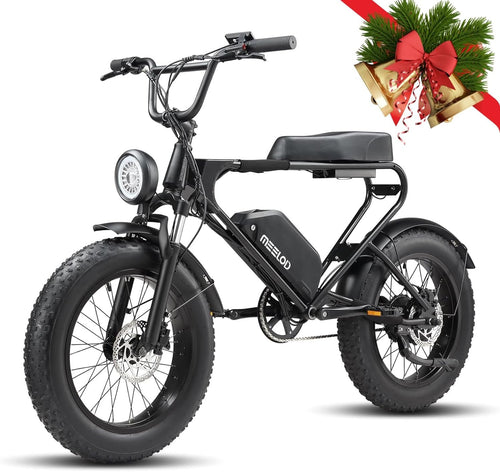 Electric Bike for Adults with 750W Brushless Motor 28MPH Commuting Electric Mountain Bike 48V Removable Battery 12V LED Headlight 4.0 Fat Tire