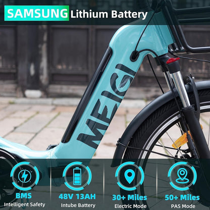 3 Wheel Electric Bicycle 750W Motor 48V 13AH Battery with Turn Signal Reserve Gear, Foldable 24" Tire Electric Cruiser Tricycle