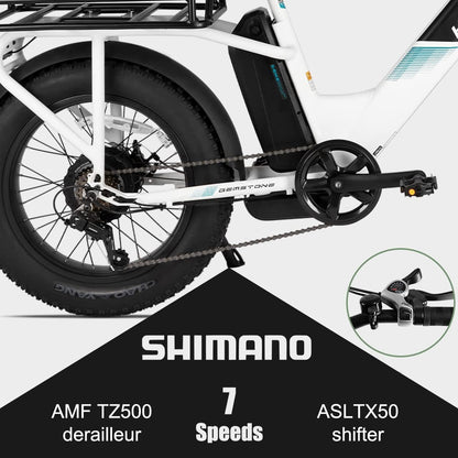 Adults Electric Bike Cargo, 750W 48V Brushless Motor E Bikes, 20 Inches 4.0 Fat Tire Aluminum Alloy Frame Suspension Fork Electric Bicycle with Racks