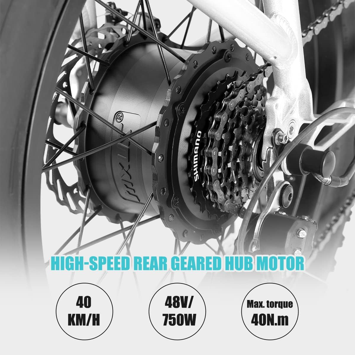 Adults Electric Bike Cargo, 750W 48V Brushless Motor E Bikes, 20 Inches 4.0 Fat Tire Aluminum Alloy Frame Suspension Fork Electric Bicycle with Racks