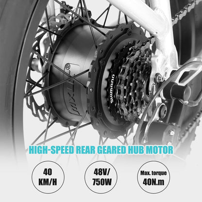 Adults Electric Bike Cargo, 750W 48V Brushless Motor E Bikes, 20 Inches 4.0 Fat Tire Aluminum Alloy Frame Suspension Fork Electric Bicycle with Racks