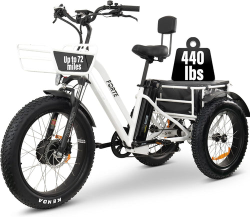 Electric Trike, 3 Wheel Motorized Bicycle with Big Wheels, Comfortable Three Wheel Tricycle for Adults, 750W Motor