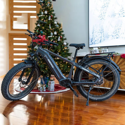 Zebra Step over with Electric Bike Inflator